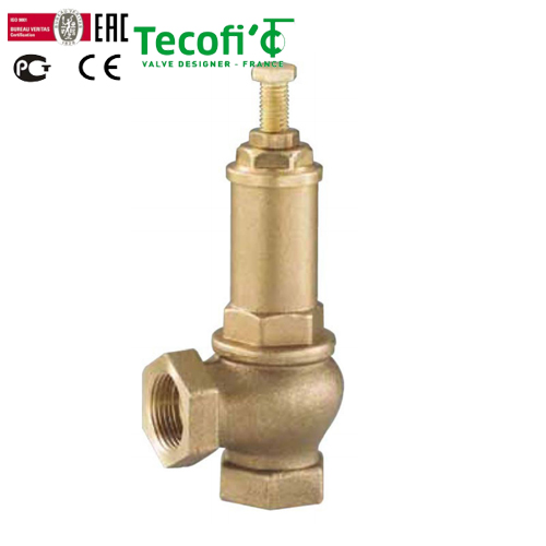 管式排气安全阀